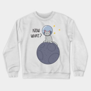 Now what? Crewneck Sweatshirt